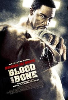 دانلود زیرنویس فارسی blood and bone