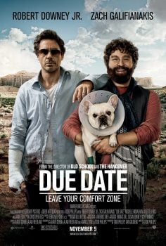 دانلود زیرنویس فارسی due date