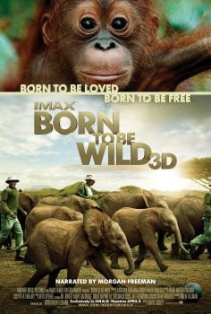 دانلود زیرنویس فارسی born to be wild