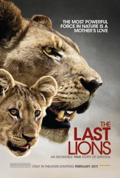 دانلود زیرنویس فارسی the last lions