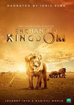 دانلود زیرنویس فارسی enchanted kingdom 3d