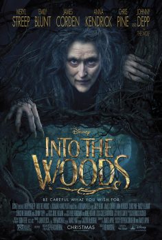 دانلود زیرنویس فارسی into the woods