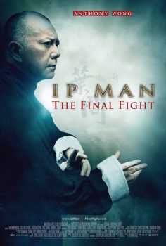 دانلود زیرنویس فارسی ip man: final fight