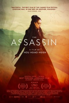 دانلود زیرنویس فارسی the assassin