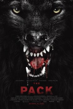 دانلود زیرنویس فارسی the pack