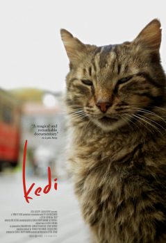 دانلود زیرنویس فارسی kedi: von katzen und menschen