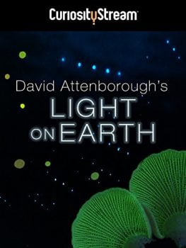 دانلود زیرنویس فارسی attenborough's life that glows