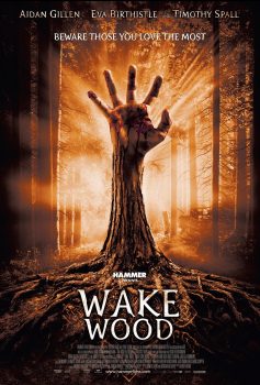 دانلود زیرنویس فارسی wake wood