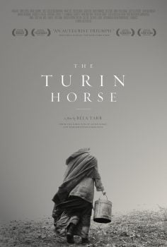 دانلود زیرنویس فارسی the turin horse