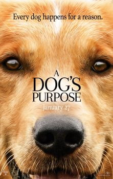 دانلود زیرنویس فارسی a dog's purpose