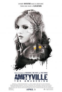 دانلود زیرنویس فارسی amityville: the awakening