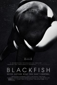 دانلود زیرنویس فارسی blackfish