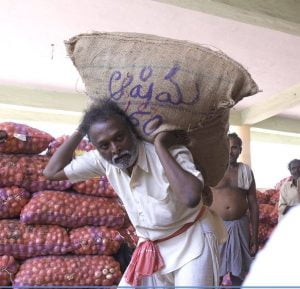 دانلود زیرنویس فارسی mitti-back to roots