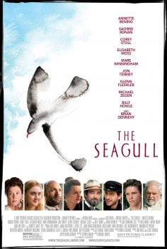 دانلود زیرنویس فارسی the seagull