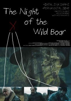 دانلود زیرنویس فارسی the night of the wild boar