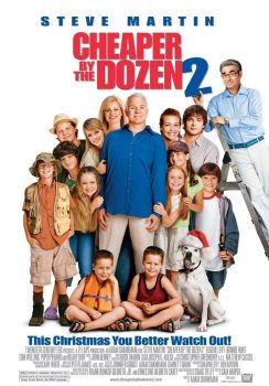 دانلود زیرنویس فارسی cheaper by the dozen 2