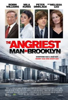 دانلود زیرنویس فارسی the angriest man in brooklyn