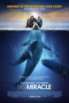 دانلود زیرنویس فارسی big miracle