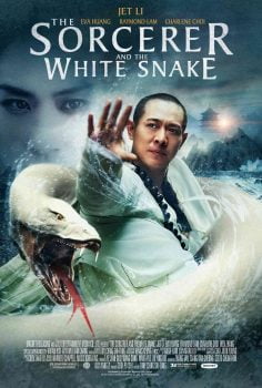 دانلود زیرنویس فارسی the sorcerer and the white snake