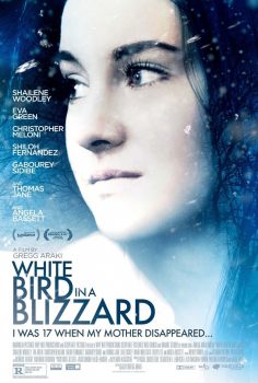 دانلود زیرنویس فارسی like a white bird in a snowstorm