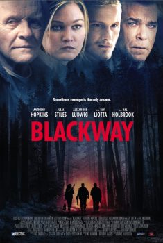 دانلود زیرنویس فارسی blackway