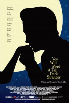 دانلود زیرنویس فارسی you will meet a tall dark stranger