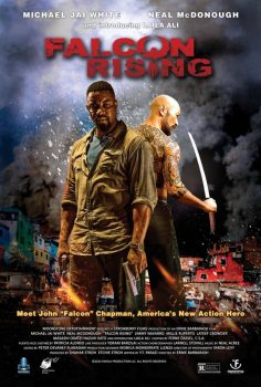 دانلود زیرنویس فارسی falcon rising