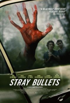 دانلود زیرنویس فارسی stray bullets