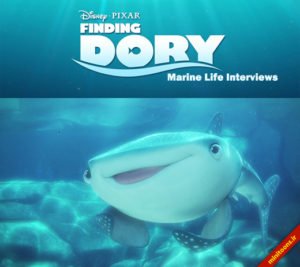 دانلود زیرنویس فارسی finding dory: marine life interviews