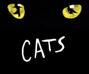 دانلود زیرنویس فارسی cats