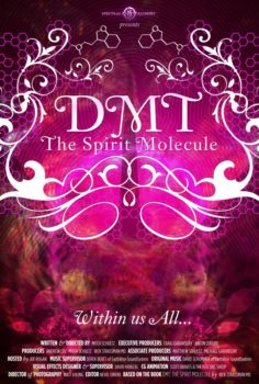 دانلود زیرنویس فارسی dmt: the spirit molecule