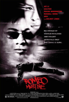 دانلود زیرنویس فارسی romeo must die