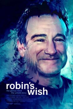 دانلود زیرنویس فارسی robin's wish