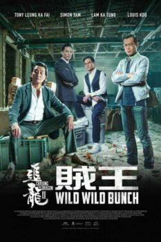 دانلود زیرنویس فارسی chasing the dragon ii: wild wild bunch