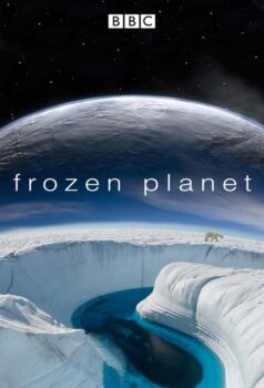 دانلود زیرنویس فارسی frozen planet