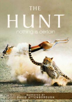 دانلود زیرنویس فارسی the hunt