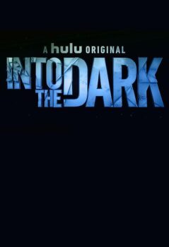 دانلود زیرنویس فارسی into the dark