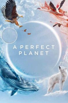 دانلود زیرنویس فارسی a perfect planet