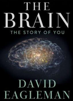 دانلود زیرنویس فارسی the brain with dr. david eagleman