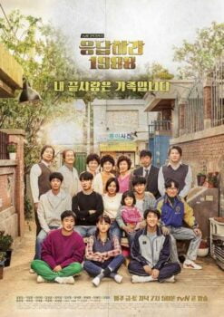 دانلود زیرنویس فارسی reply 1988