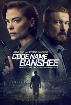 دانلود زیرنویس فارسی code name banshee