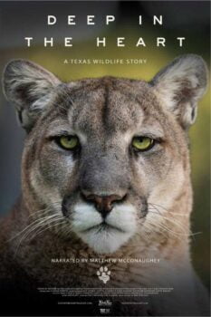 دانلود زیرنویس فارسی deep in the heart: a texas wildlife story