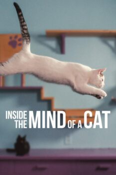 دانلود زیرنویس فارسی inside the mind of a cat