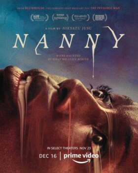 دانلود زیرنویس فارسی nanny