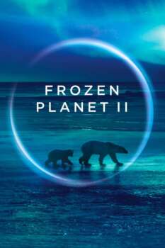 دانلود زیرنویس فارسی frozen planet ii