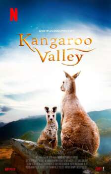 دانلود زیرنویس فارسی kangaroo valley