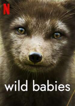 دانلود زیرنویس فارسی wild babies