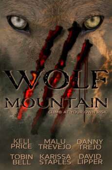 دانلود زیرنویس فارسی wolf mountain