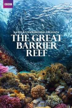 دانلود زیرنویس فارسی great barrier reef with david attenborough