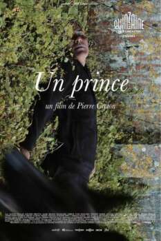 دانلود زیرنویس فارسی a prince